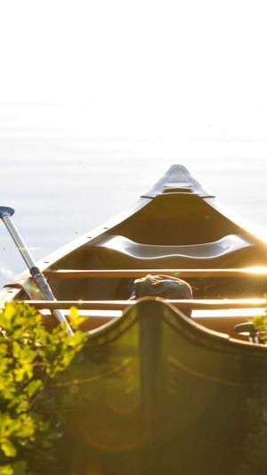 蜘蛛池出租租用截图1