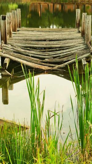 蜘蛛池外推方法截图3