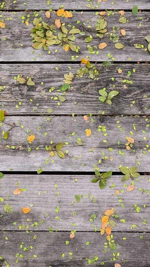 seo点击排名工具截图1