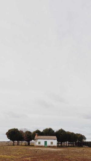 住房城乡建设网站官网截图1