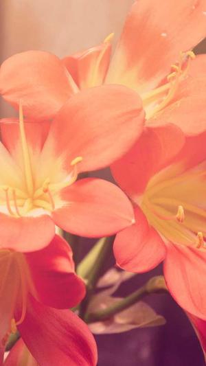 如何做seo优化截图3