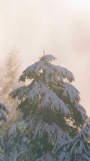 网站建设学习截图3
