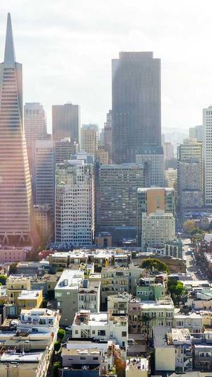 seo学习心得截图4