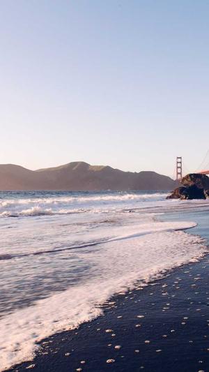 潍坊网站建设截图3