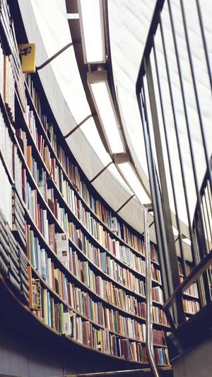 手机seo排名工具截图3