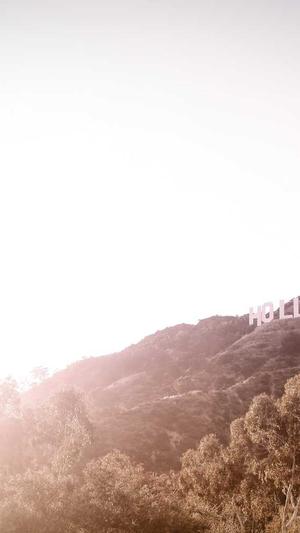 seo工具包括截图1