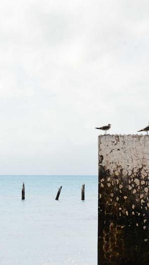 高端企业网站建设蓦然郑州网站建设截图1