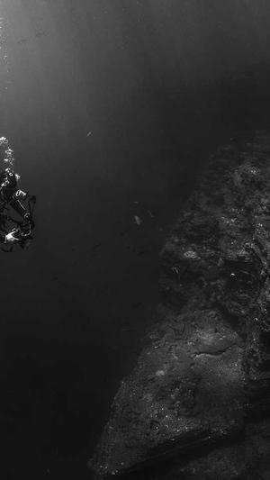 如何提高泛目录排名截图1