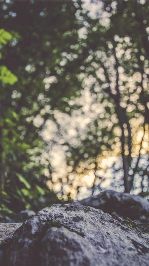 固原网站建设截图1