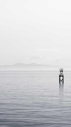 秦皇岛网站建设截图4