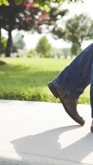 seo蜘蛛池教程截图4