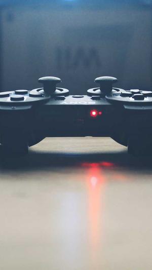 谁有蜘蛛池出租截图2