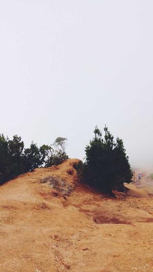 是网站建设截图4