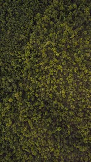 dede泛目录截图4