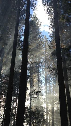 网站建设书截图2