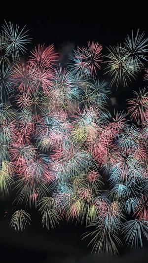 站长工具seo优化建议截图4