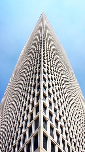 免费蜘蛛池搭建教程截图2