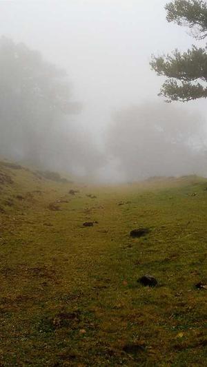 公众号能用seo外链工具截图3