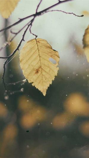 东莞网站的建设截图3