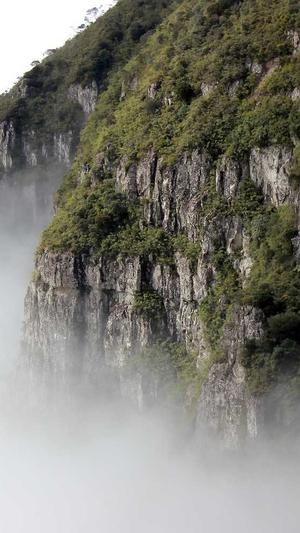 快速收录网站泛目录截图4